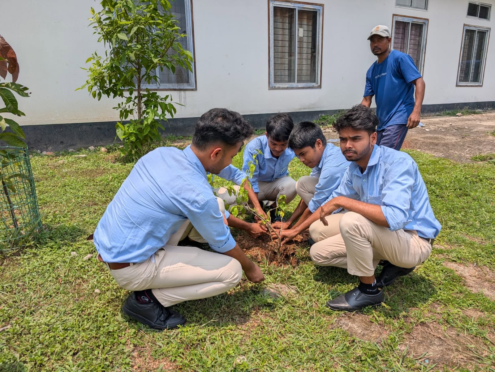 World Environment Day 2026